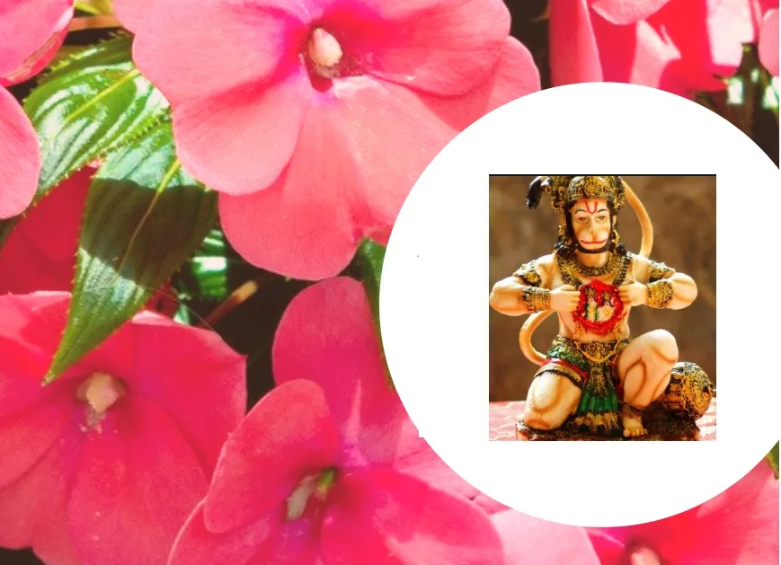 हनुमान भगवान