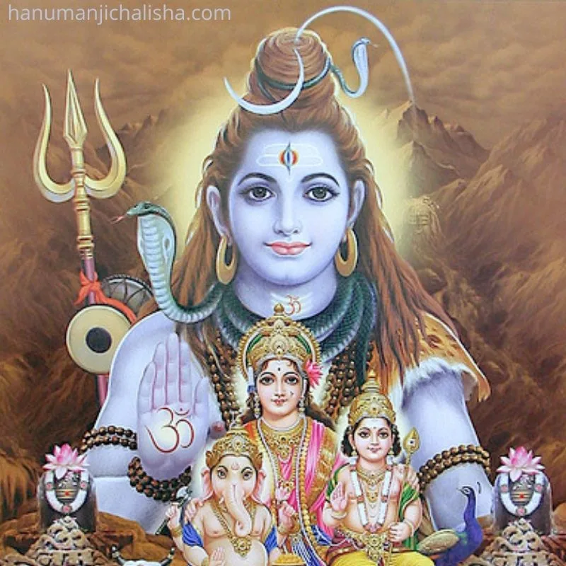 shiv image